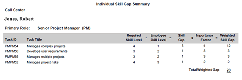 Individual Skills Gap Report